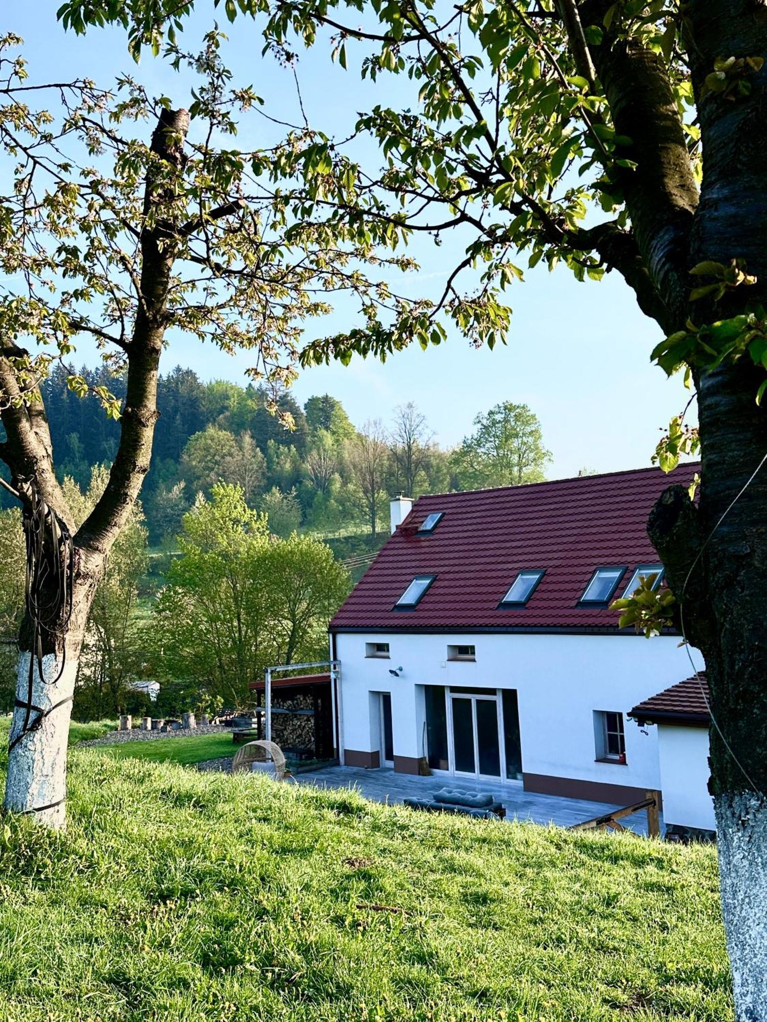Zapomnienie Villa Nowa Ruda Exterior photo